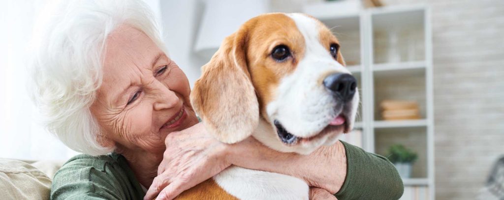 Cane o gatto, cosa è meglio per un anziano