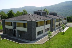 cedra