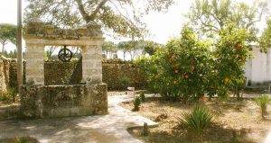 villa-iris-trepuzzi