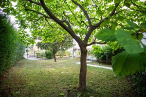 giardino-4