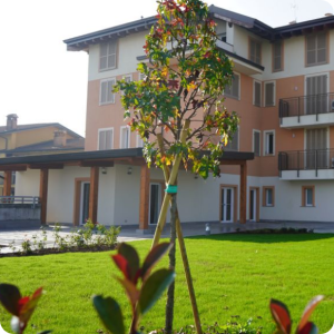 aliverdi