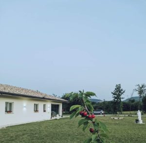 rsa case di risposo anziani