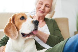 signora-anziana-con-il-suo-beagle